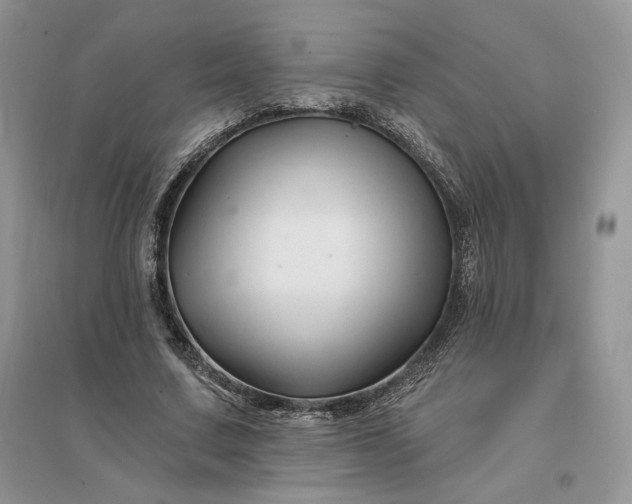 X0000096190683200802011407