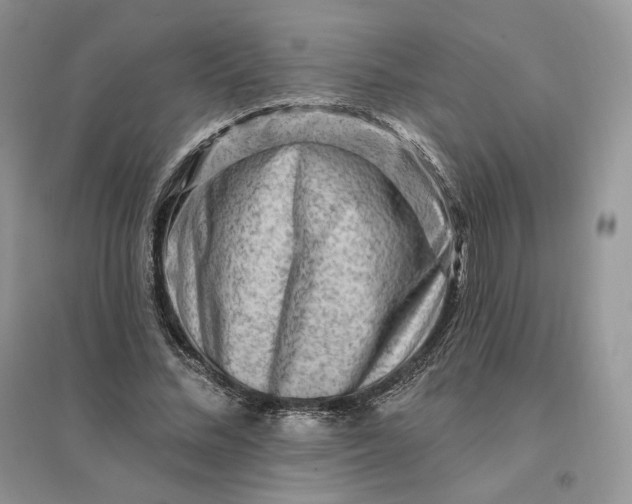 X0000096190684200802011407