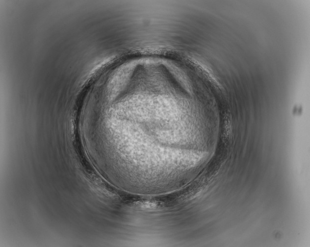 X0000096190687200802011407