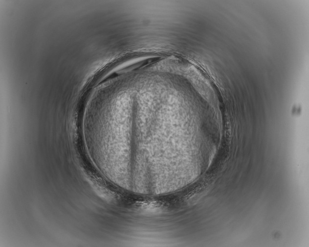 X0000096190688200802011407