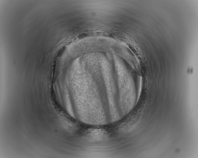 X0000096190689200802011407