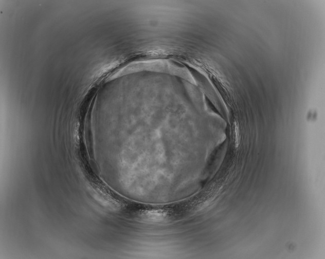 X0000096190692200802011407