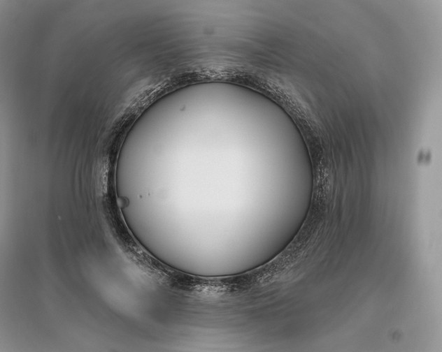 X0000096190694200802011407