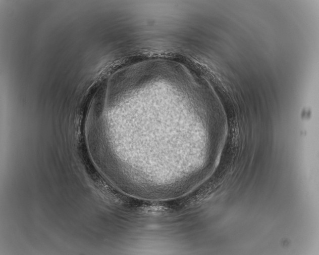 X0000096190695200802011407