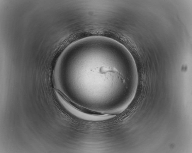 X0000096190697200802011407