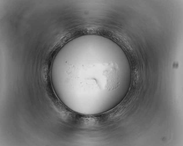 X0000096190698200802011407