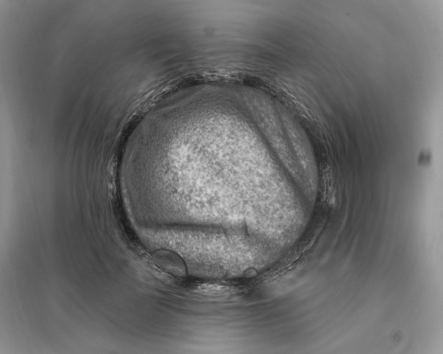 X0000096190699200802011407