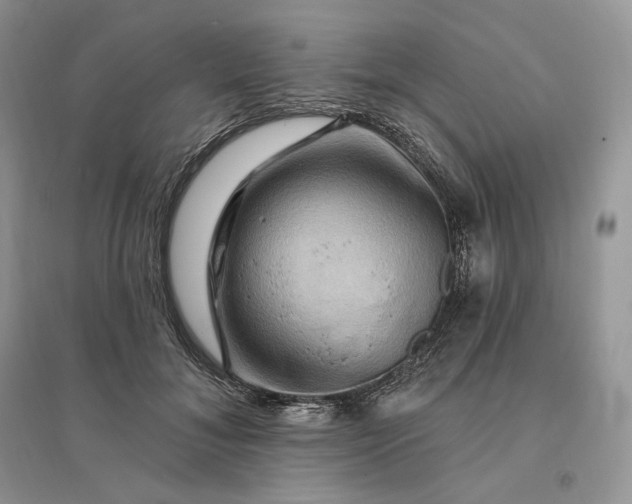 X0000096190700200802011407