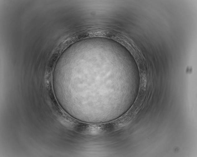 X0000096190701200802011407