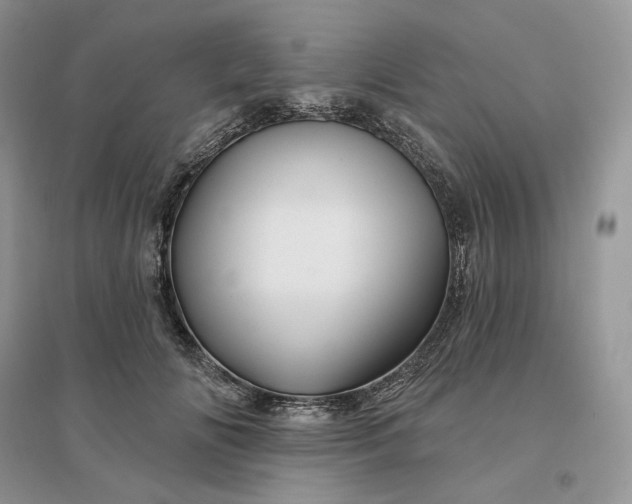 X0000096190702200802011407