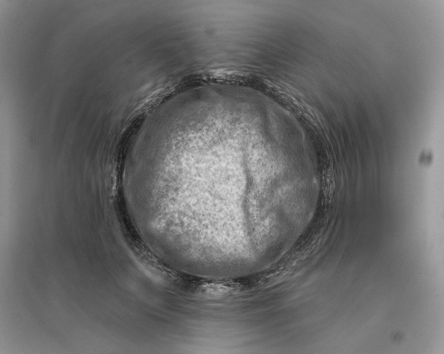 X0000096190703200802011407