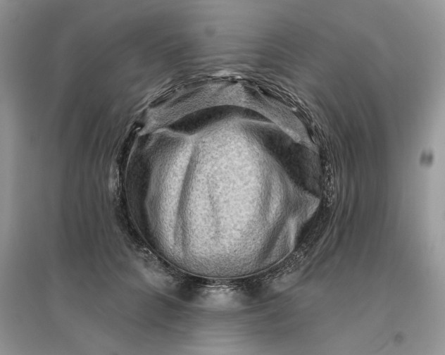 X0000096190704200802011407