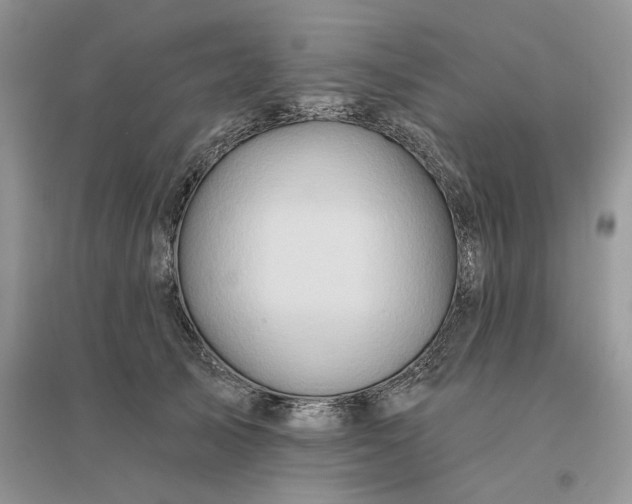 X0000096190705200802011407