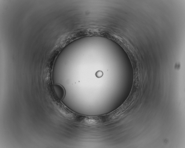 X0000096190706200802011407