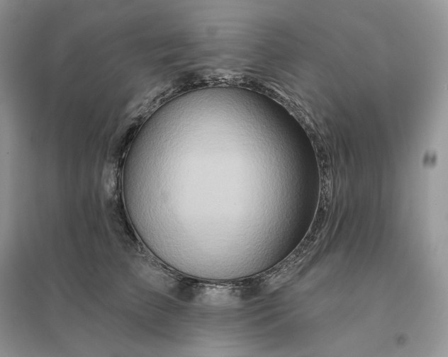 X0000096190709200802011407