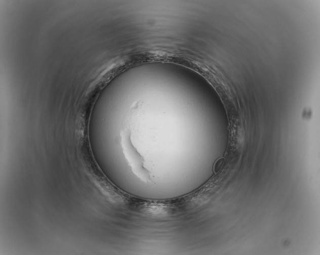 X0000096190710200802011407