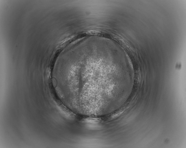 X0000096190711200802011407