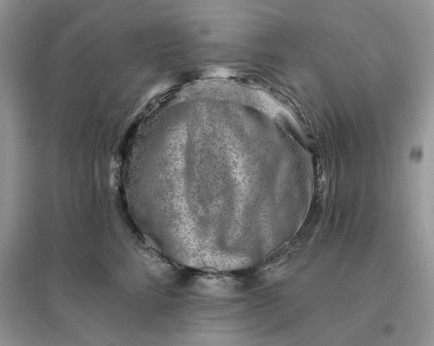 X0000096190712200802011407