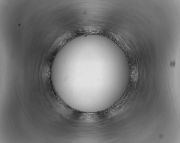 X0000096190713200802011407