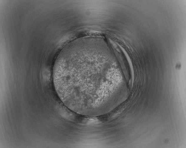 X0000096190715200802011407