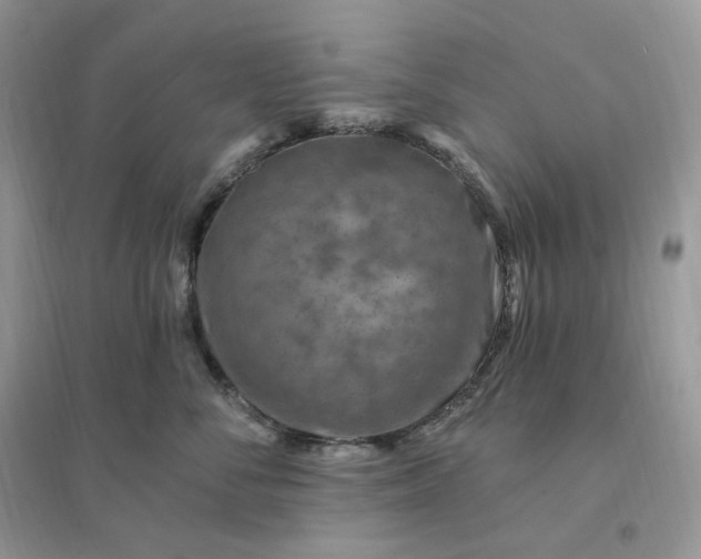 X0000096190716200802011407