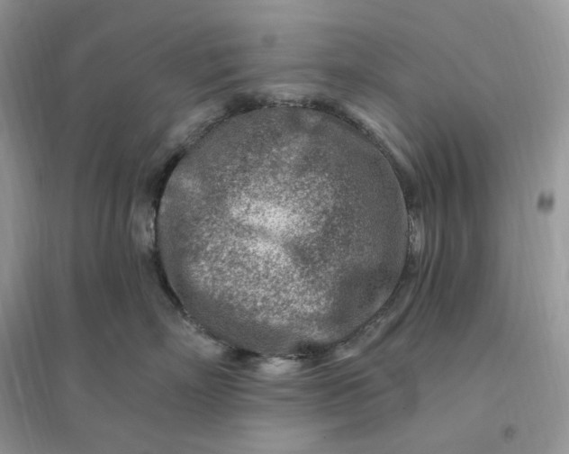 X0000096190718200802011407