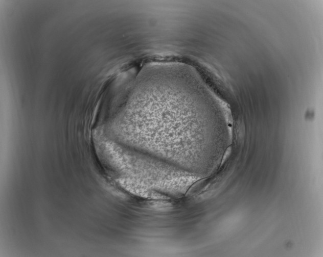 X0000096190719200802011407