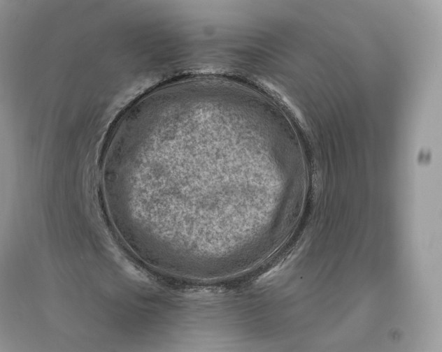 X0000096190721200802011406