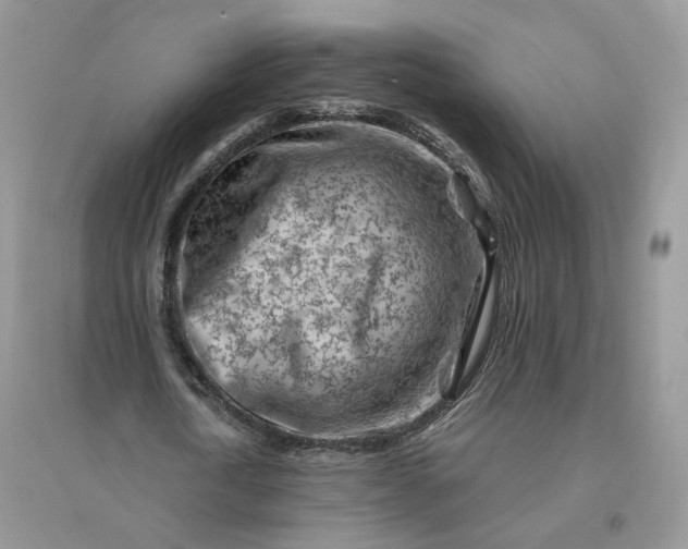 X0000096190722200802011406