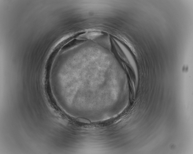 X0000096190724200802011406