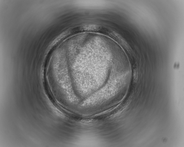 X0000096190725200802011406