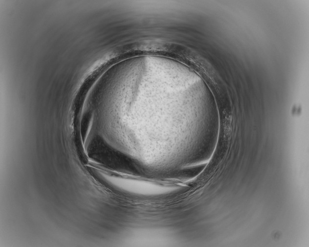 X0000096190727200802011406