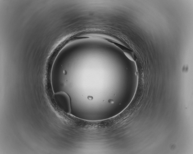 X0000096190728200802011406