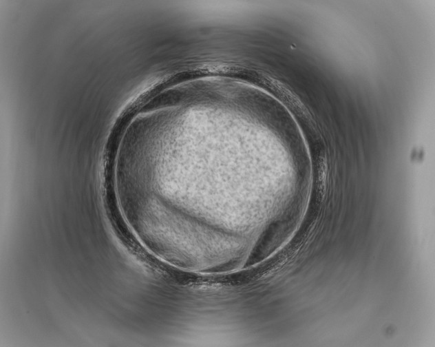 X0000096190730200802011406