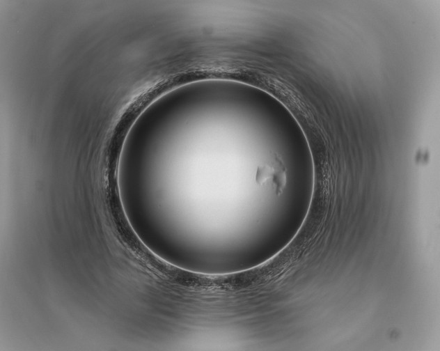 X0000096190731200802011406