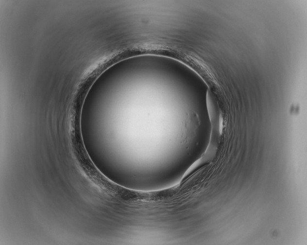 X0000096190732200802011406