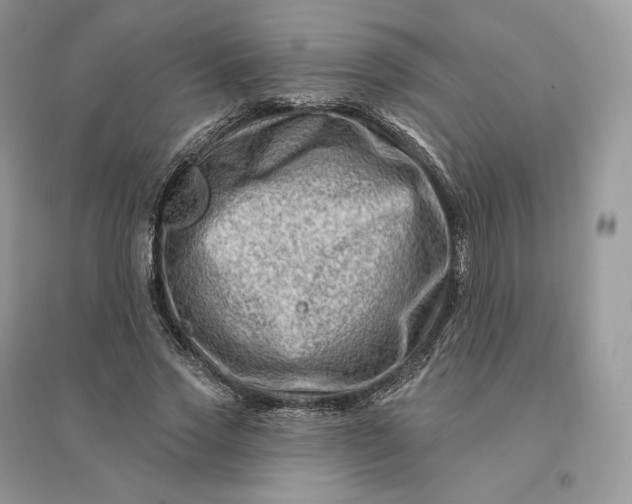 X0000096190733200802011406