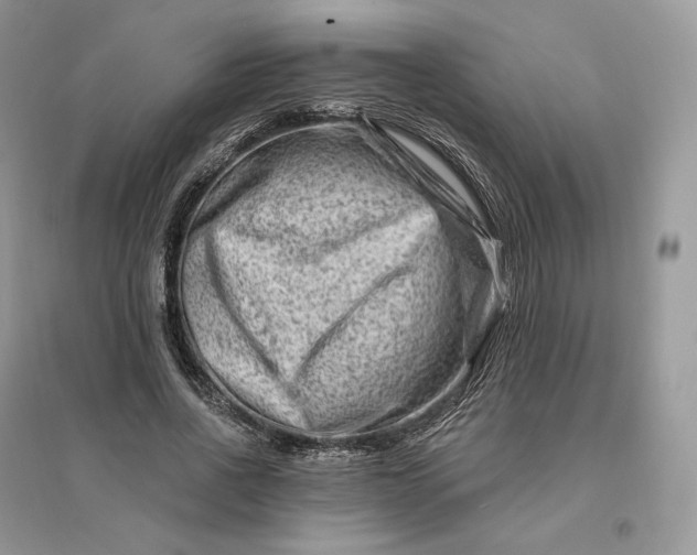 X0000096190734200802011406