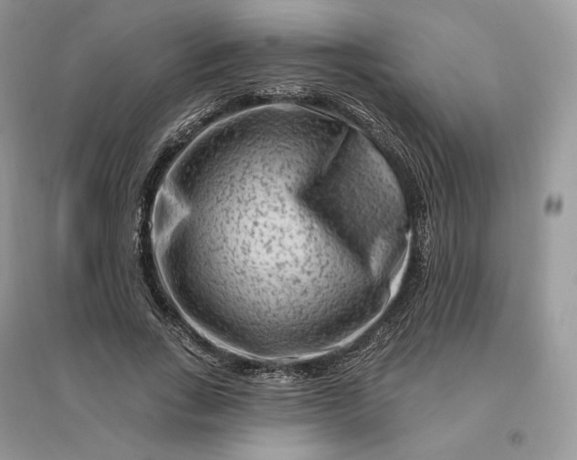 X0000096190735200802011406