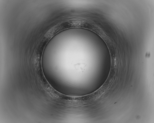 X0000096190737200802011406