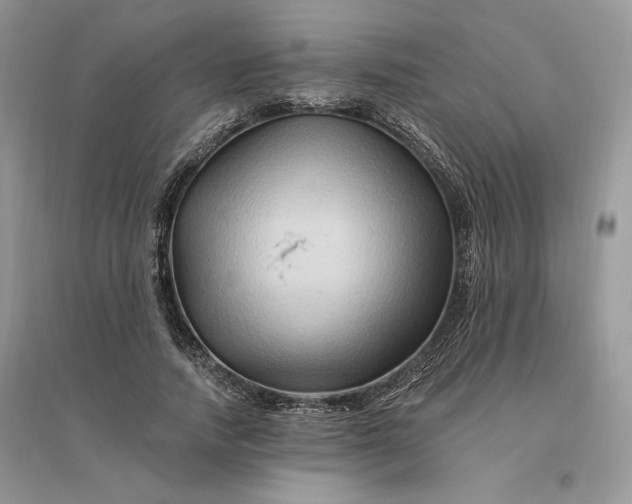 X0000096190738200802011406