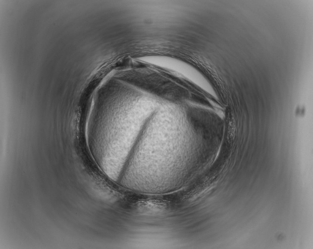 X0000096190739200802011406