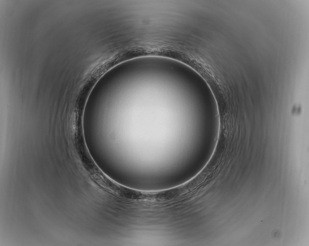 X0000096190740200802011406