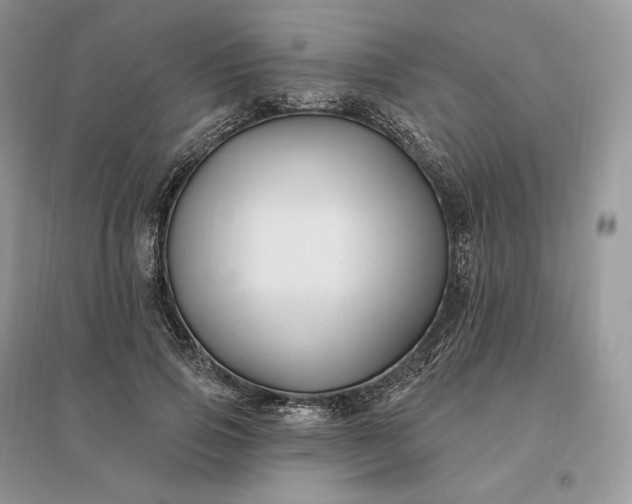 X0000096190741200802011406