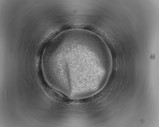 X0000096190742200802011406