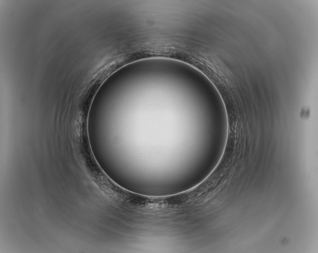 X0000096190744200802011406