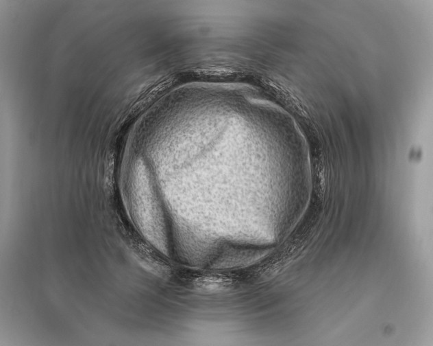 X0000096190745200802011406