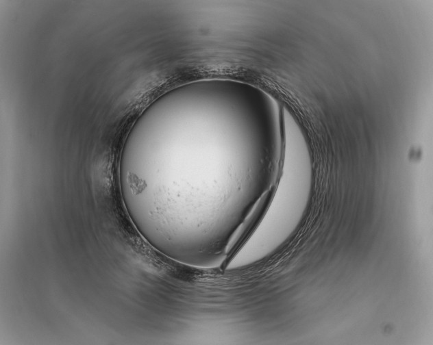 X0000096190746200802011406