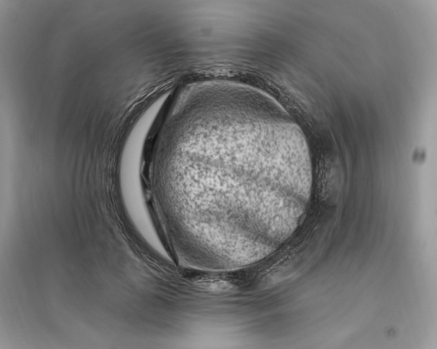 X0000096190747200802011406