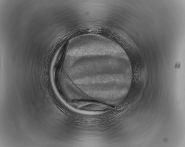 X0000096190748200802011406